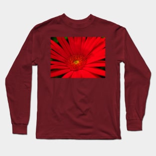 South African Daisy Long Sleeve T-Shirt